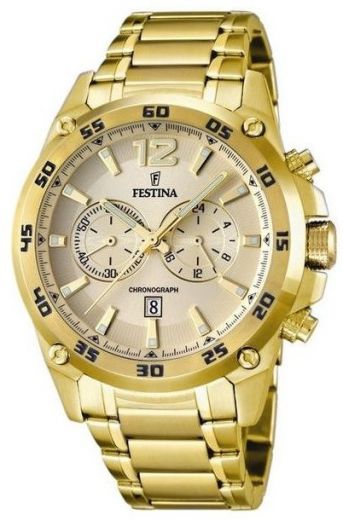 Pánske hodinky FESTINA 16806/1