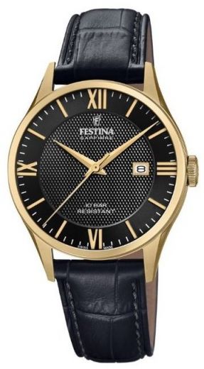 Pánske hodinky FESTINA 20010/4