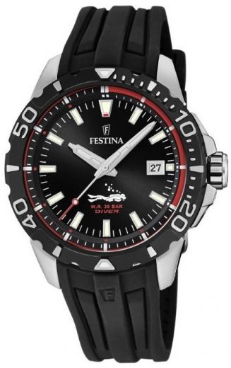 Pánske hodinky FESTINA 20462/2