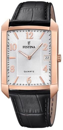 Pánske hodinky FESTINA 20465/1