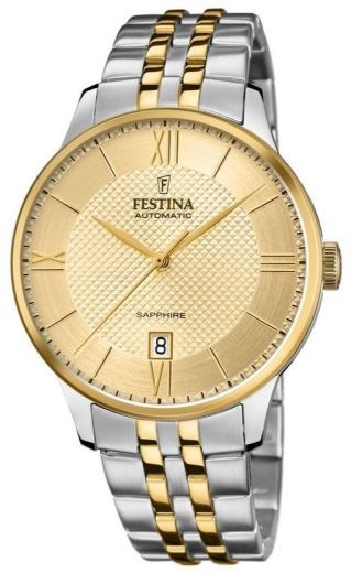Pánske hodinky FESTINA 20483/1